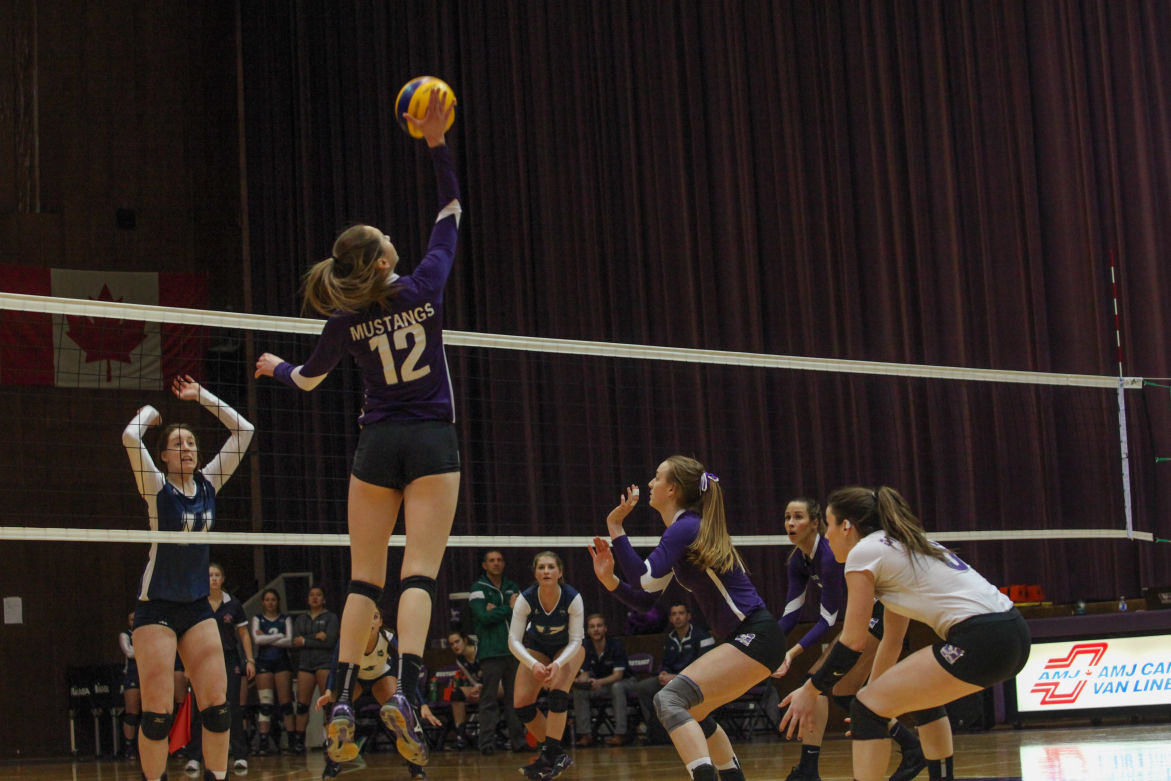Women's Volleyball #1